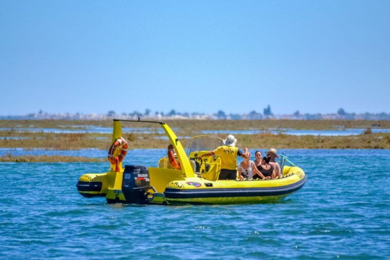 from-faro-ria-formosa-eco-tour-guided-by-marine-biologist