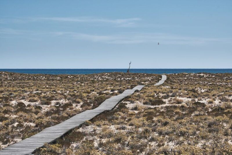 from-faro-ria-formosa-hop-on-hop-off-3-islands-cruise