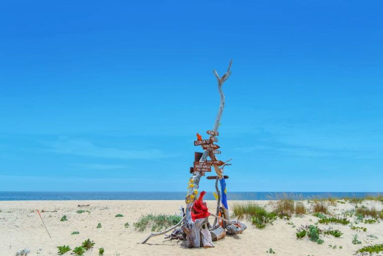 from-faro-ria-formosa-hop-on-hop-off-3-islands-cruise