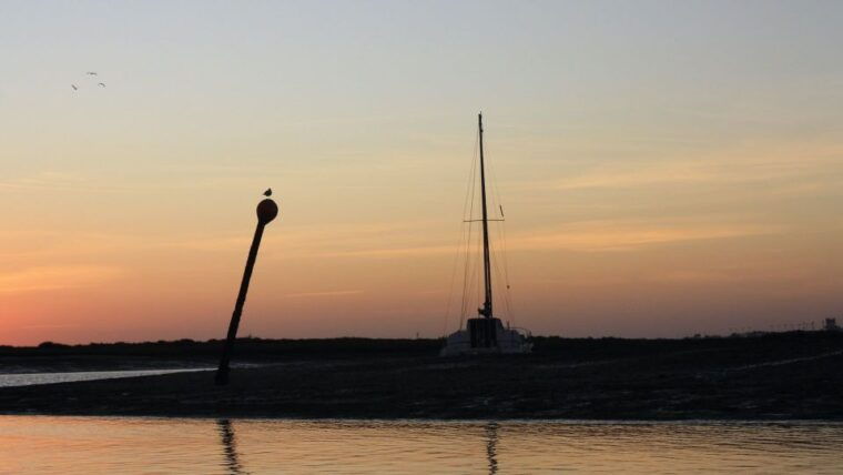 from-faro-ria-formosa-sunset-boat-trip-2