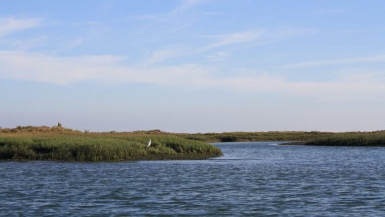 from-faro-ria-formosa-sunset-boat-trip-2