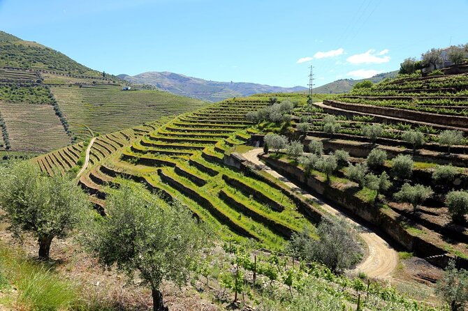 from-favaios-to-pinhao-walking-tour