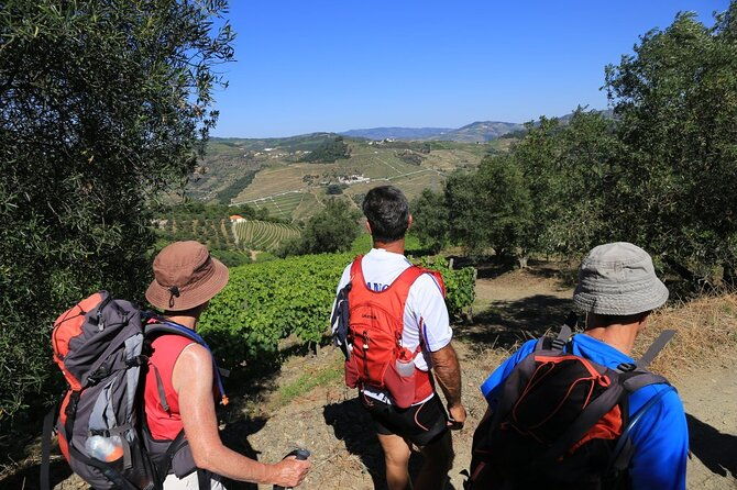 from-favaios-to-pinhao-walking-tour