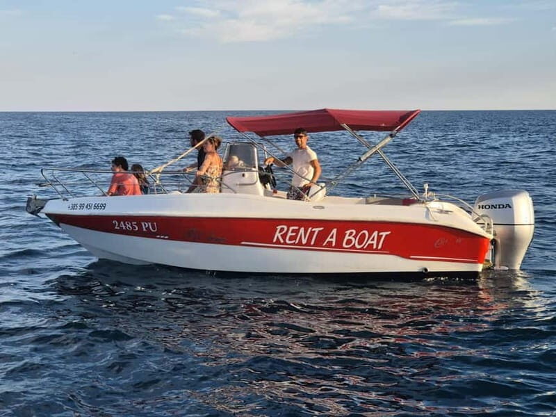 From Fazana Dolphin watching at sunset from a speedboat - What to Expect on the Dolphin Watching Tour
