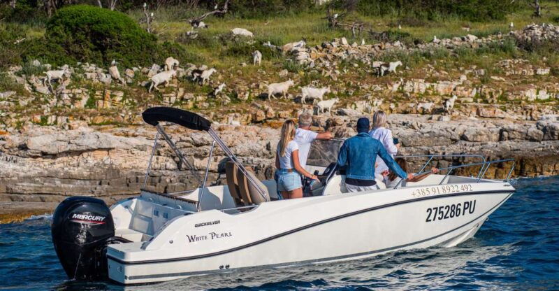 from-fazana-private-boat-tour-of-brijuni-islands