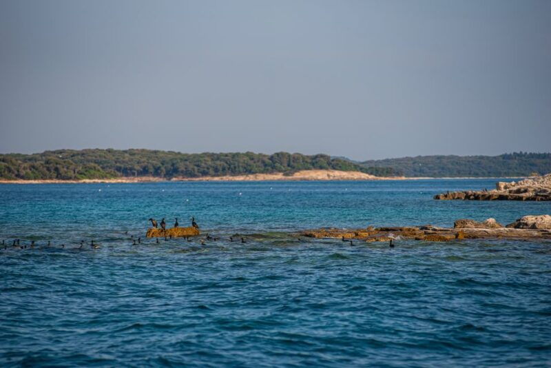 from-fazana-private-boat-tour-of-brijuni-islands