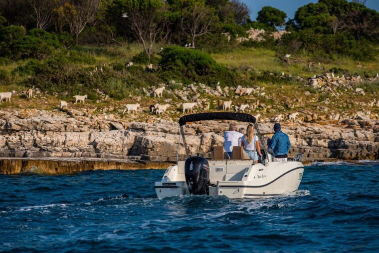 from-fazana-private-boat-tour-of-brijuni-islands