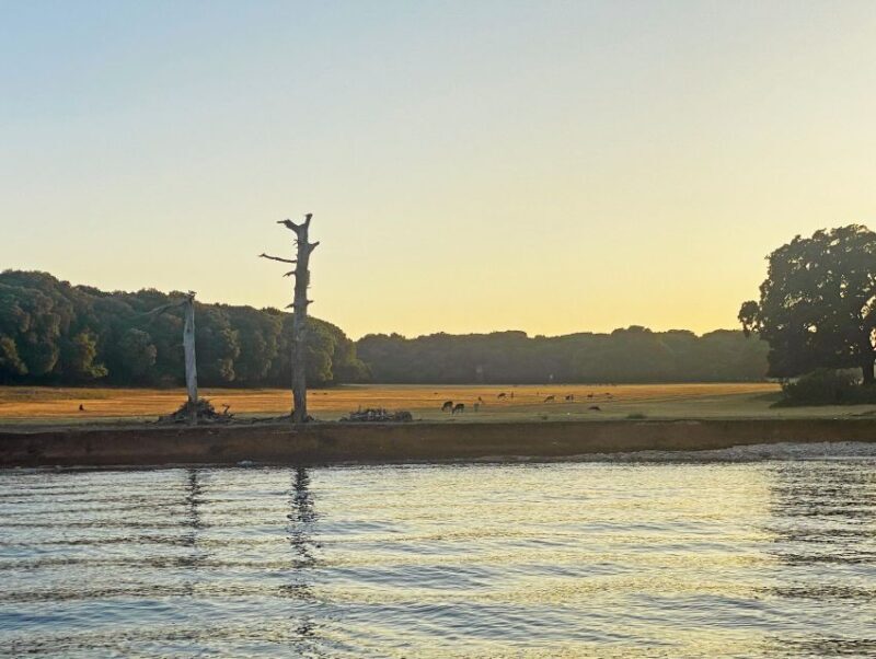 From Fazana: Private Dolphin search & Sunset cruise - Comfort and Extras on Board