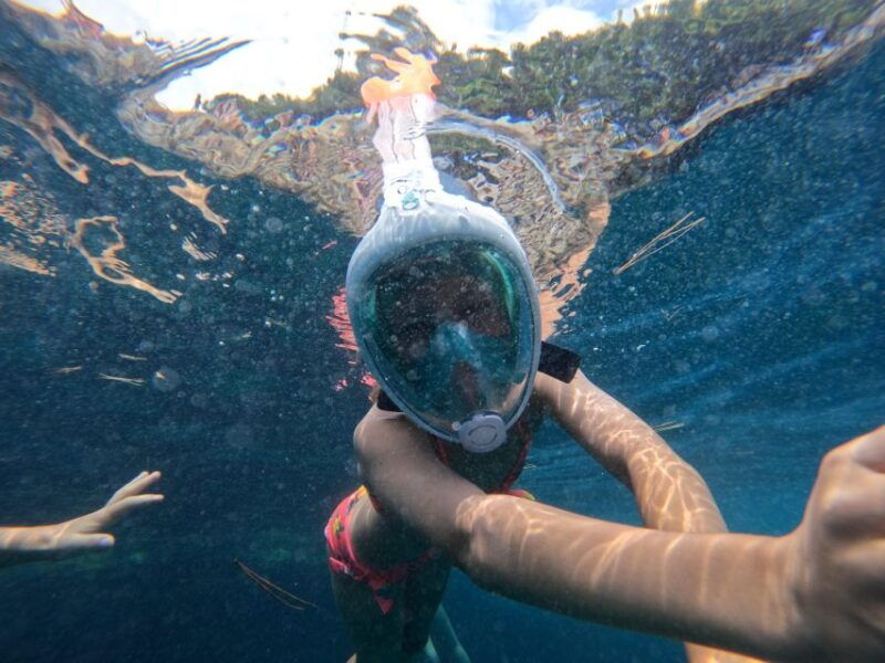 from-fazana-rovinj-full-day-private-boat-tour