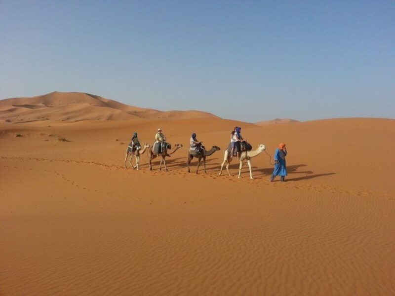 From Fes: 2-Day Desert Tour with Return to Fes or Marrakech - Key Points