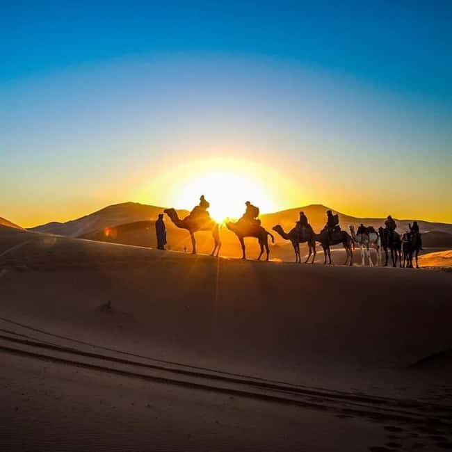 From Fes: 2-Day Luxury Desert Tour to Marrakech & Back Fez - Key Points