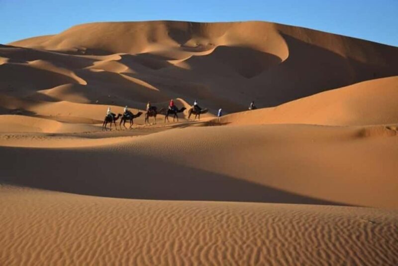 From Fes: 2-Day Luxury Desert Tour to Marrakech & Back Fez - FAQs