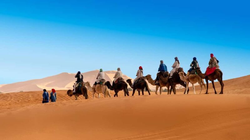 From Fes: 2-Day Luxury Desert Tour to Marrakech & Back Fez - Final Thoughts