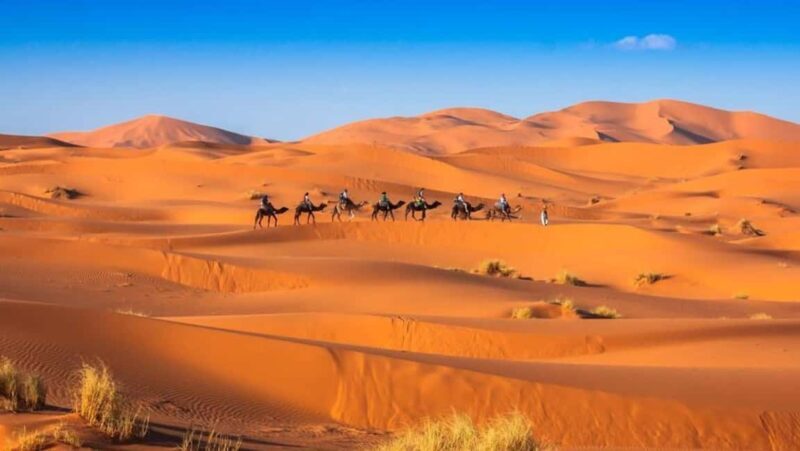 From Fes: 2-Day Merzouga Desert Trip w/Luxury Tent & Dinner - Final Thoughts: Is This Tour Right for You?