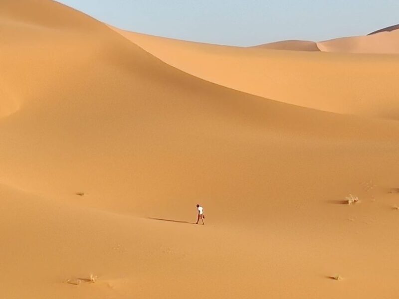 From Fes: 2 Day Round Trip Via Merzouga Desert & Camel Trek - Who Will Love This Tour?