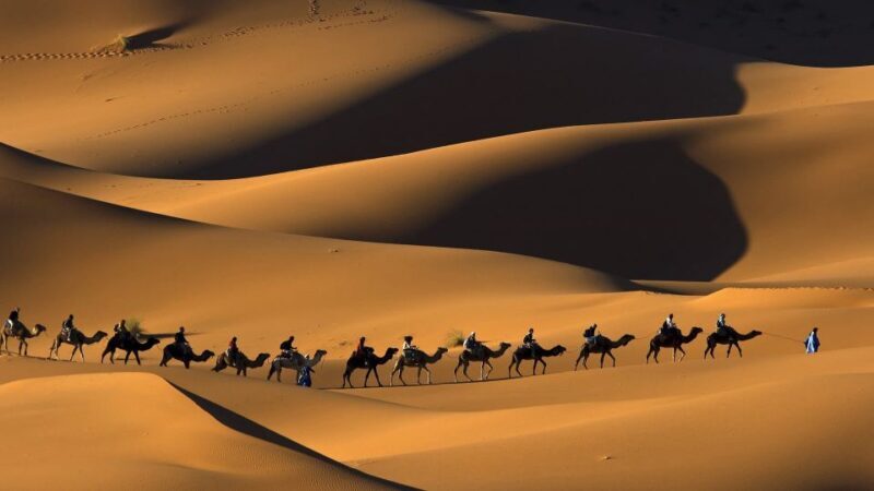 From Fes: 2-Day Sahara Tour with Private Tent & Meals - What Travelers Say: Authentic Experiences and Practical Tips