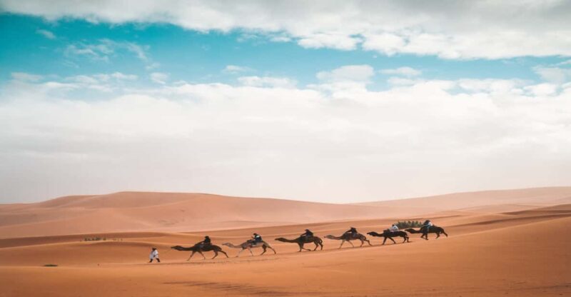From Fes: 3-Day 2-Night Desert Tour to Marrakech - Authenticity and Quality: What Travelers Say  