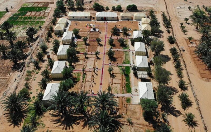 From Fes: 3-Day, 2-Night Desert Trip to Merzouga - Final Thoughts