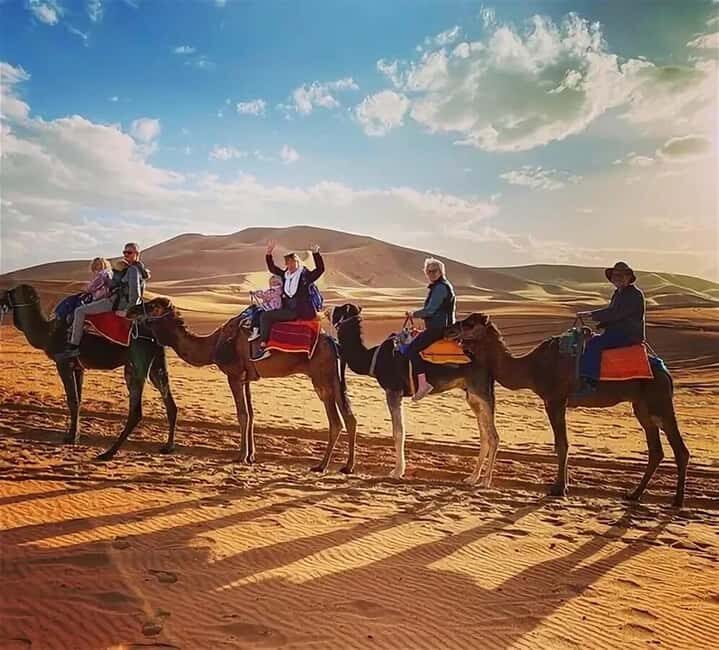 From Fes: 3-Day Luxury Desert Tour to Marrakech via Merzouga - Who Should Consider This Tour?