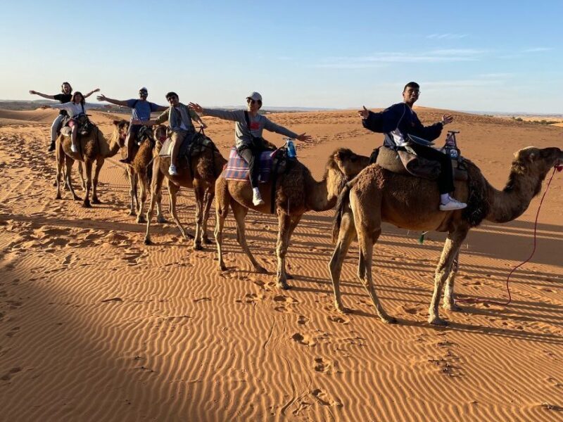 From Fes: 3-Day Luxury Desert Tour to Marrakech via Merzouga - Final Thoughts