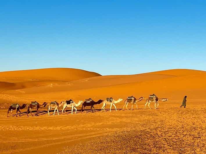 From Fes: 3-Day Merzouga Tour with Camel Ride & luxury camp - Key Points