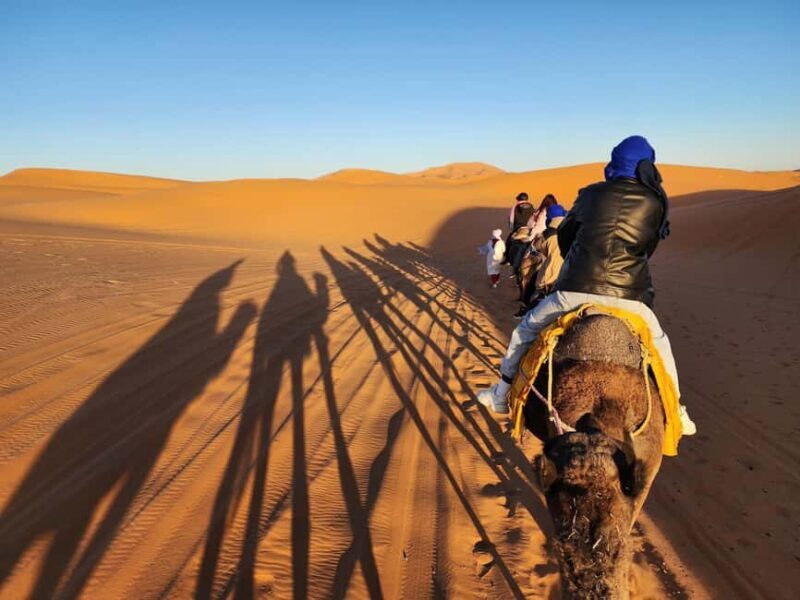 From Fes: 3-Day Trip to Marrakech through Merzouga Desert - Who Will Love This Tour?