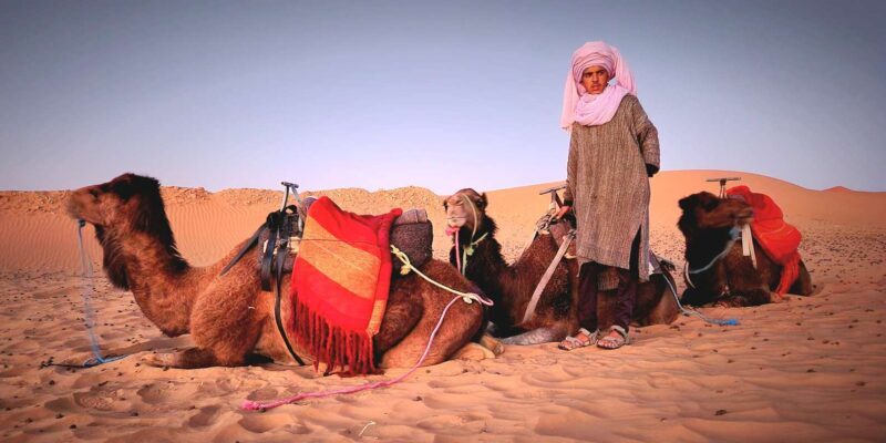 From Fes: 3-Day Trip to Marrakech through Merzouga Desert - The Sum Up