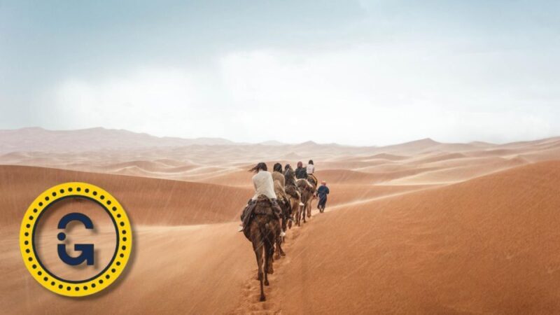 From Fes 3 Days 2 Nights Desert Tour & Sandboarding - Who Is This Tour Best For?