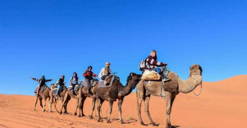 From Fes: 3 Days and 2 Nights Desert Trip to Marrakech - Key Points