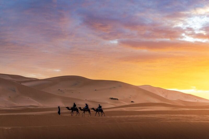 From Fes: 4-Day Desert Tour to Marrakech - From Fes: 4-Day Desert Tour to Marrakech — A Practical, Authentic Adventure in Morocco