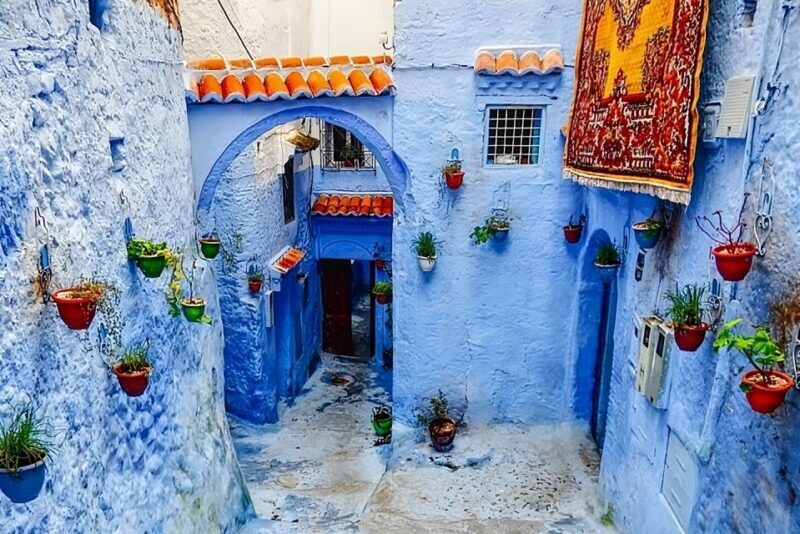 From Fes: Chefchaouen Day Trip with Return Transfers - Key Points