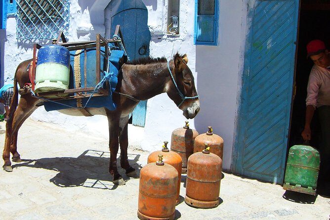 From Fes : Chefchaouen Day trip with small Group - FAQs