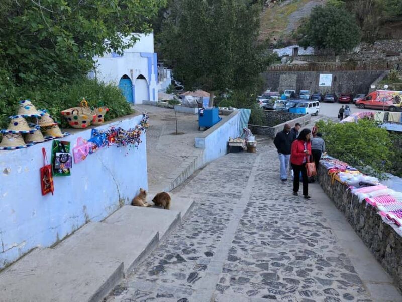 From Fes: Chefchaouen Group Day Trip - Who Should Consider This Tour?