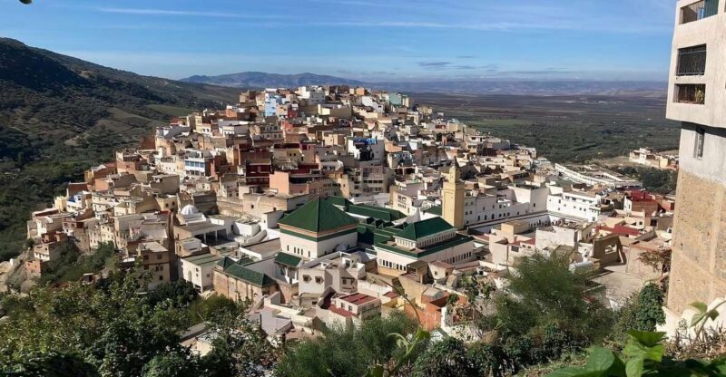 From Fes: Day Trip to Meknes, Volubilis, Moulay Idriss - Key Points  
