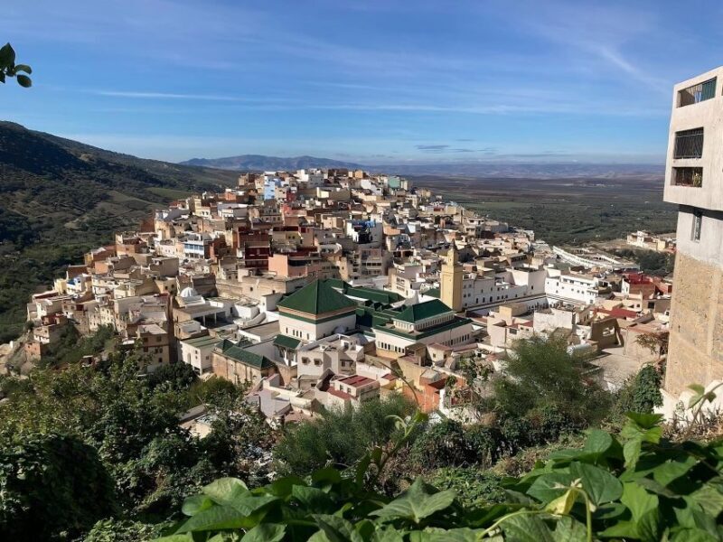 From Fes: Day Trip to Meknes, Volubilis, Moulay Idriss - Final Thoughts