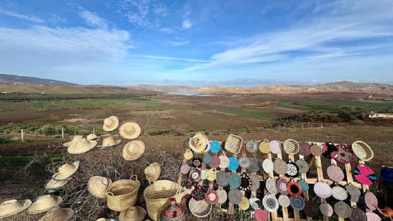 From Fes Day Trip to Meknes,Volubilis,Moulay Idriss Zerhoun - Who should consider this tour?