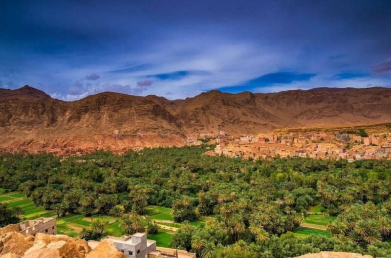 From Fes: Day trip to Sefrou & Bhalil - Authentic Feedback from Past Travelers