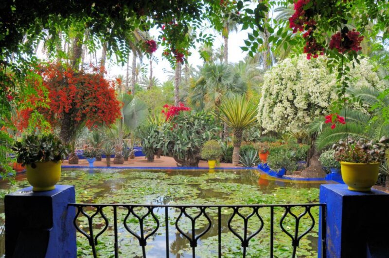 From Fes: Imperial Cities Highlights and 8-Day Sahara Trip - Final Thoughts