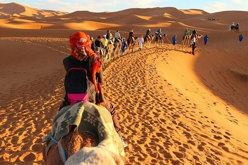 From Fès: Merzouga (1 Night), Ouarzazat (1 Night), Marrakech - Additional Insights from Reviews