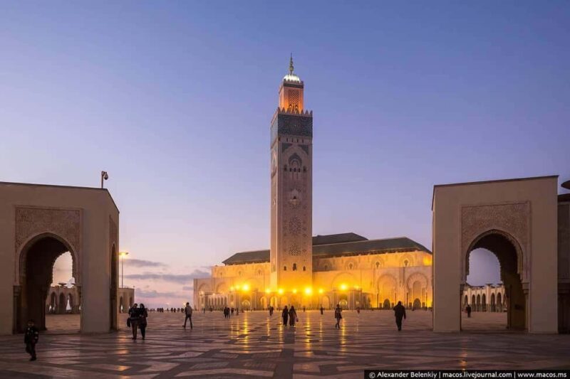 From Fes private tour to Casablanca via volubilis and rabat - Who Should Consider This Tour?
