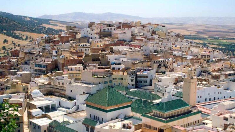 From Fes : Private Volubilis Moulay Idriss & Meknes day Trip - Practical Details and What You Should Know
