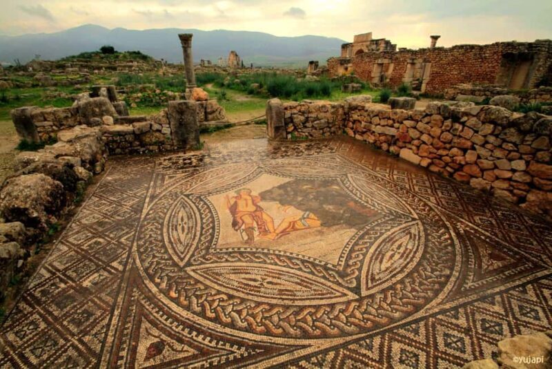 From Fes : Private Volubilis Moulay Idriss & Meknes day Trip - The Sum Up