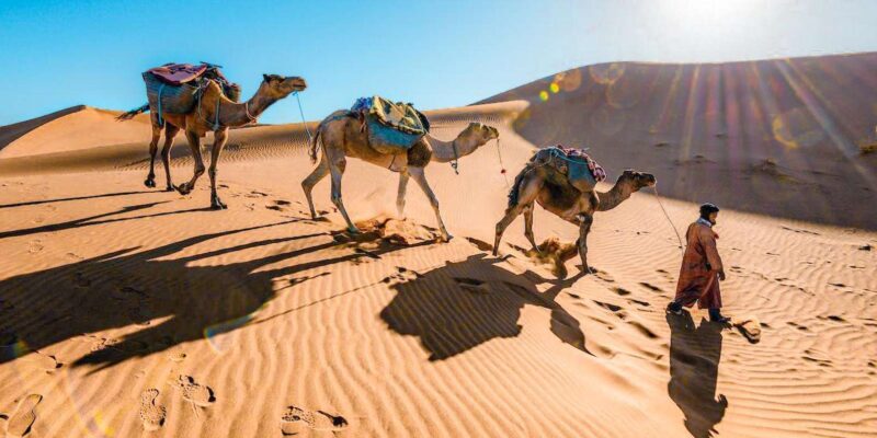 From Fes to Marrakech: 3-Day Sahara Desert Discovery Tour - Key Points
