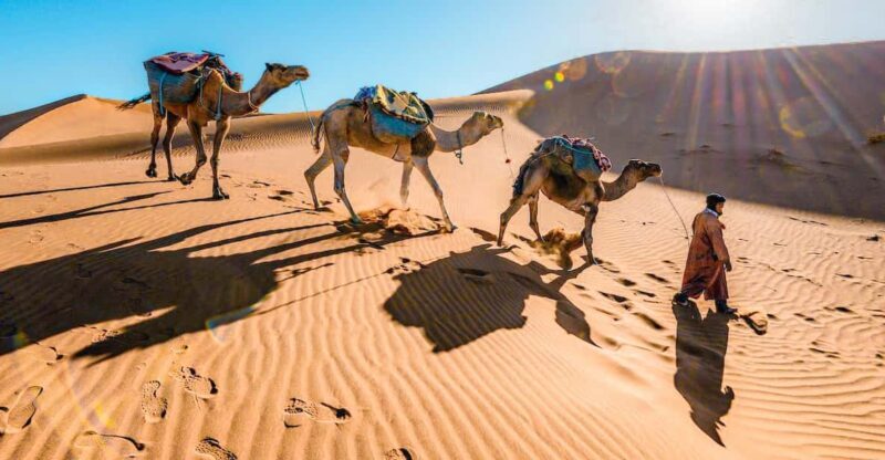 From Fes to Marrakech: 3-Day Sahara Desert Discovery Tour - The Itinerary: What to Expect and Why It Matters