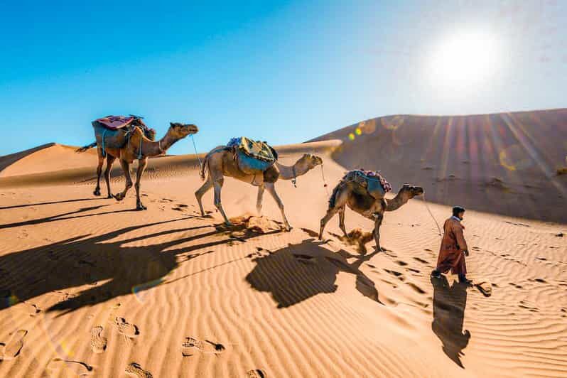 From Fes to Marrakech: 3-Day Sahara Desert Discovery Tour - Practical Tips for Travelers