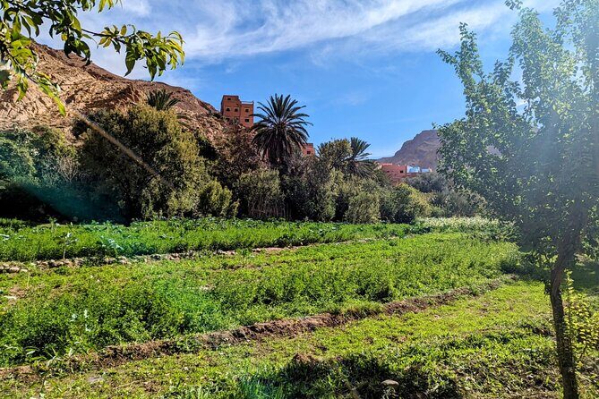 From Fes to Marrakech: 4 Day group tour via the desert Merzouga - FAQs