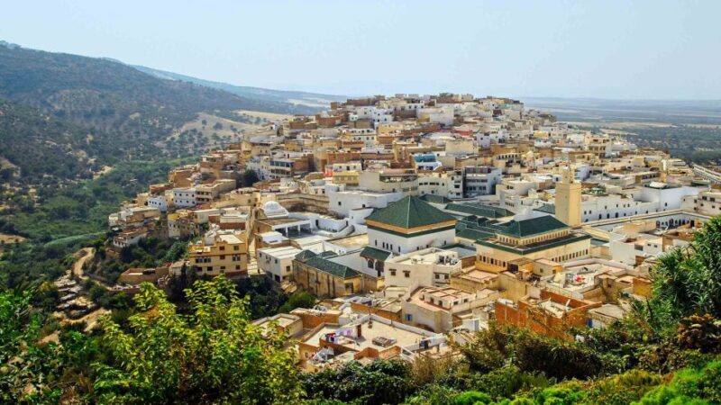 From Fes: Volubilis and Meknes Day Trip - Exploring Morocco’s Imperial and Ancient Heritage: A Review of the Fes: Volubilis and Meknes Day Trip