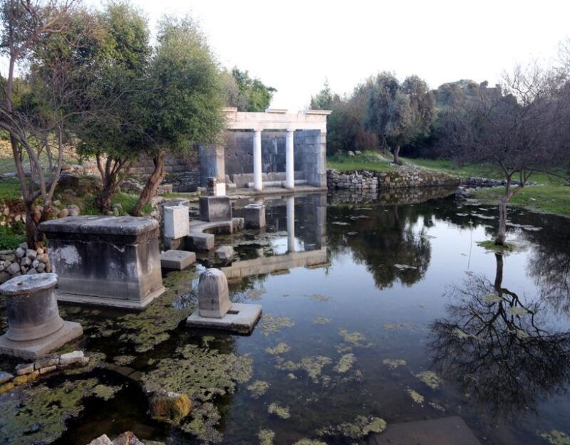 from-fethiye-dalyan-day-trip-with-mud-bath-and-turtle-beach