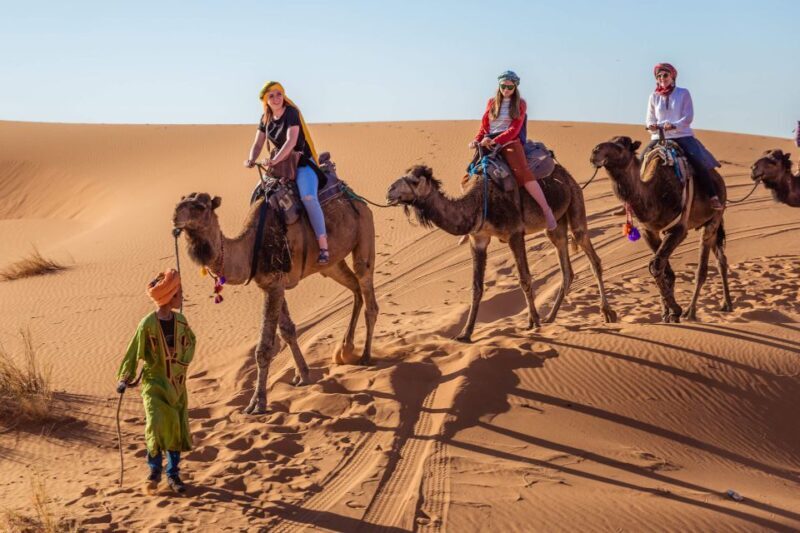 From Fez: 2-Days Desert Tour to Marrakech via Merzouga - Key Points