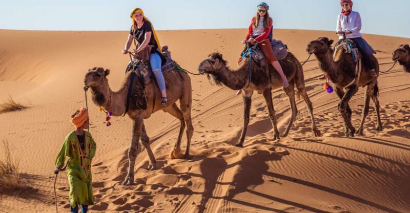 From Fez: 2-Days Desert Tour to Marrakech via Merzouga - Authentic Experiences Drawn from Reviews